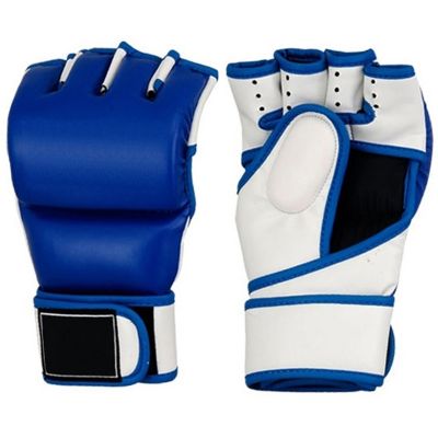 MMA Gloves